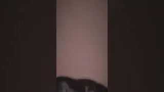 BILLIE EILISH  - HAPPIER THAN EVER