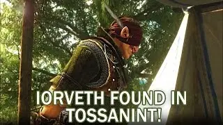IORVETH FOUND IN TOSSANINT!!?  Witcher 3 Characters - Part 1