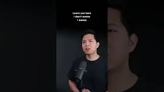 Promise as one does, I will protect you... #duetwithme #cover #singkaraoke #disneywish