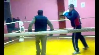 kumanovec - Saso - box 1