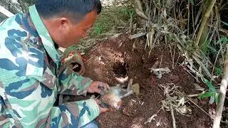 lam hlwb Hunting  using  a bamboo tube create trap rat very good  cuab nas kos mag zoo