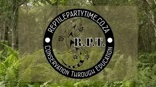 Reptile Party Time - Conservation Through Education