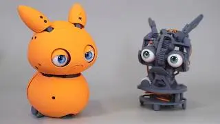 Turning a Raspberry Pi into a (Physical) Virtual Pet