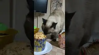 Пасха и Маня#Shorts#