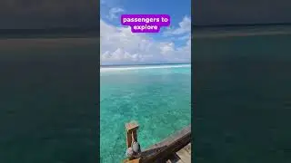 Top Ways to Travel while in Bahamas in 2024 (Transportation Guide) #travelvlog #travel #bahamas