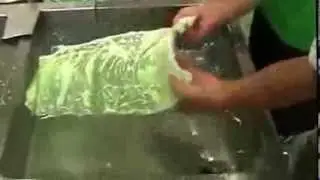 Китайская капуста