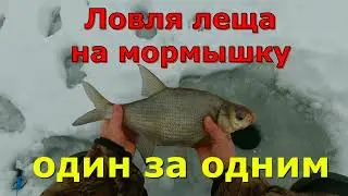 Ловля леща на мормышку 2022 НОВИНКА