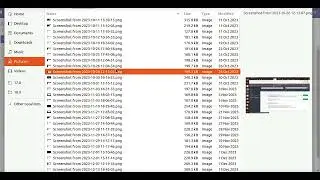Odoo Advance Veterinary Management App