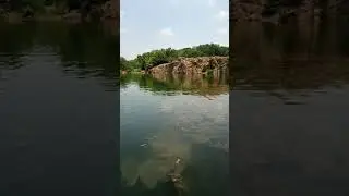 Лабрадор Лекси и её реакция на прыжок хозяйки 👀