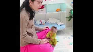 Monkey Pupu cried sadly when he saw his mom sick!