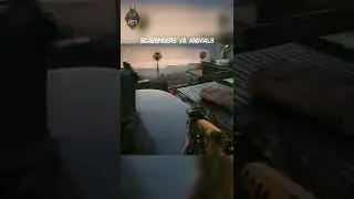 CYBERPUNK 2077 | SCAVENGERS VS. ANIMALS