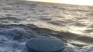 Японское море