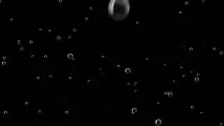 Water Bubbles Video Effect | Video Overlay 122 | Particles Effect | No Copyright Effect