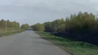 заяц