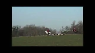 Dunston Harriers hunting a hare at Fersfield, Norfolk // Dunston Harriers, 18.01.22