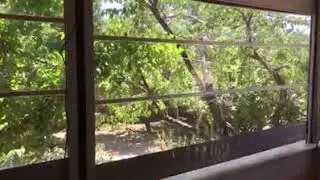 Otomatik Balkon Sistemleri