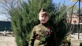Стихотворение 