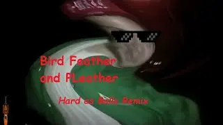 Bird Feather and Pleather HARD AS BALLS Remix | 6ixT6 🎵