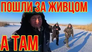 ПРОВЕРКА ИДЕАЛЬНОЙ БАЛДЫ. В ПОЛЕ.