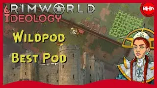 Wildpod Running Wild in The Medieval Magic Castle | Rimworld: Ideology Episode 2