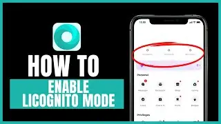 How to enable incognito mode in Mint Browser