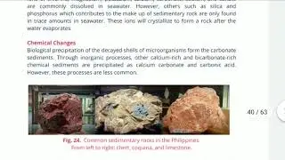 NS 1S: Lesson 6.2 Sedimentary Rocks