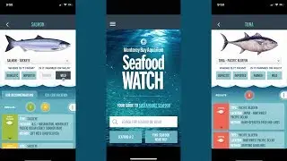 Seafood Watch: Empowering Sustainable Seafood Choices