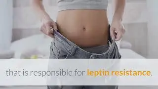 Leptitox Review (FAQs on Weight-loss with Leptitox)