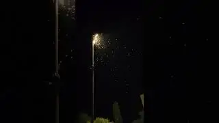 Summer night snow