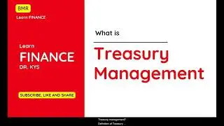 What is Treasury Management