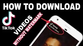 tiktok video download without watermark | how to download tiktok video without watermark