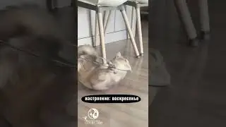 Танцы могут быть физически напряженными и требовать много энергии. Поэтому важно делать паузы...