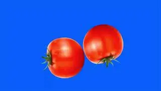 motion and rotation tomatoes green screen/ tomato animation green screen