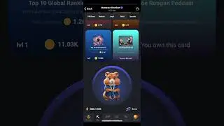 HOW TO COMPLETE HAMSTER COMBAT DAILY COMBO AND HOW TO UNLOCK CARDS
