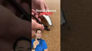 The worst thing to see at the beach 😨