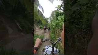JALAN MENUJU LADANG DI MUNJUNGAN TRENGGALEK