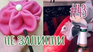 ЗАЛИПАТЕЛЬНЫЕ ВИДЕО ДЛЯ СНА ► РОЛИКИ ДЛЯ РЕЛАКСА СО ВСЕГО МИРА (ИЮНЬ 2021) #43