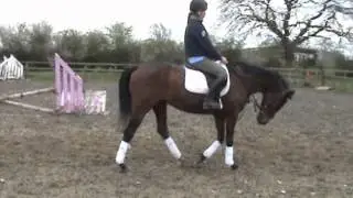 ESSIE