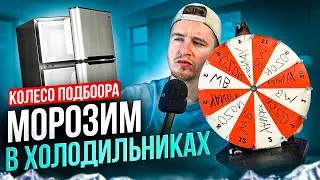 Топ бюджетных холодильников 2024. Подбираем рейтинг на маркетплейсе. Обзор, отзывы и сравнение