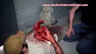 TCCC Medic Training - Protective Security training school (7 weeks)