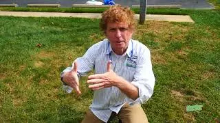 Should I Aerate My Lawn Before I Seed