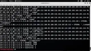 How to  Using Snmpwalk