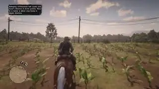 Red dead redemption 2 episode 8