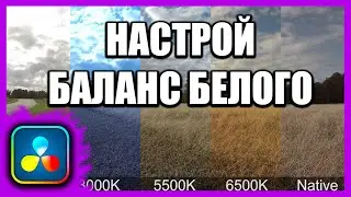 Самые быстрые способы профессионально настроить баланс белого в Davinci Resolve
