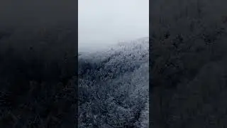 Snowy Allegheny Mountains