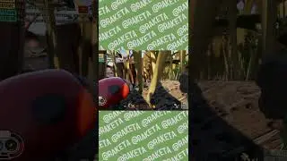 Не муравьиный муравей  Grounded 