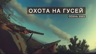 Гусиная охота осень 2023  Добыли казарок и тетерева  Охота на Русском Севере
