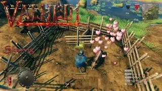 Skarvig's Aussie Guide to Pig Farming - Valheim
