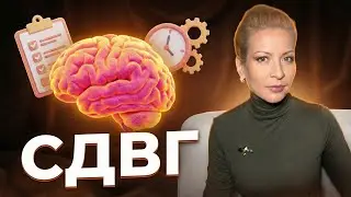 Your brain is the same as everyone else's.