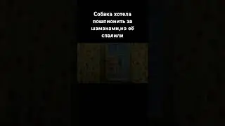 Собака и Шаманы!#барбоскины #смешныевидео #ютуб #тренды #переозвучка #реки